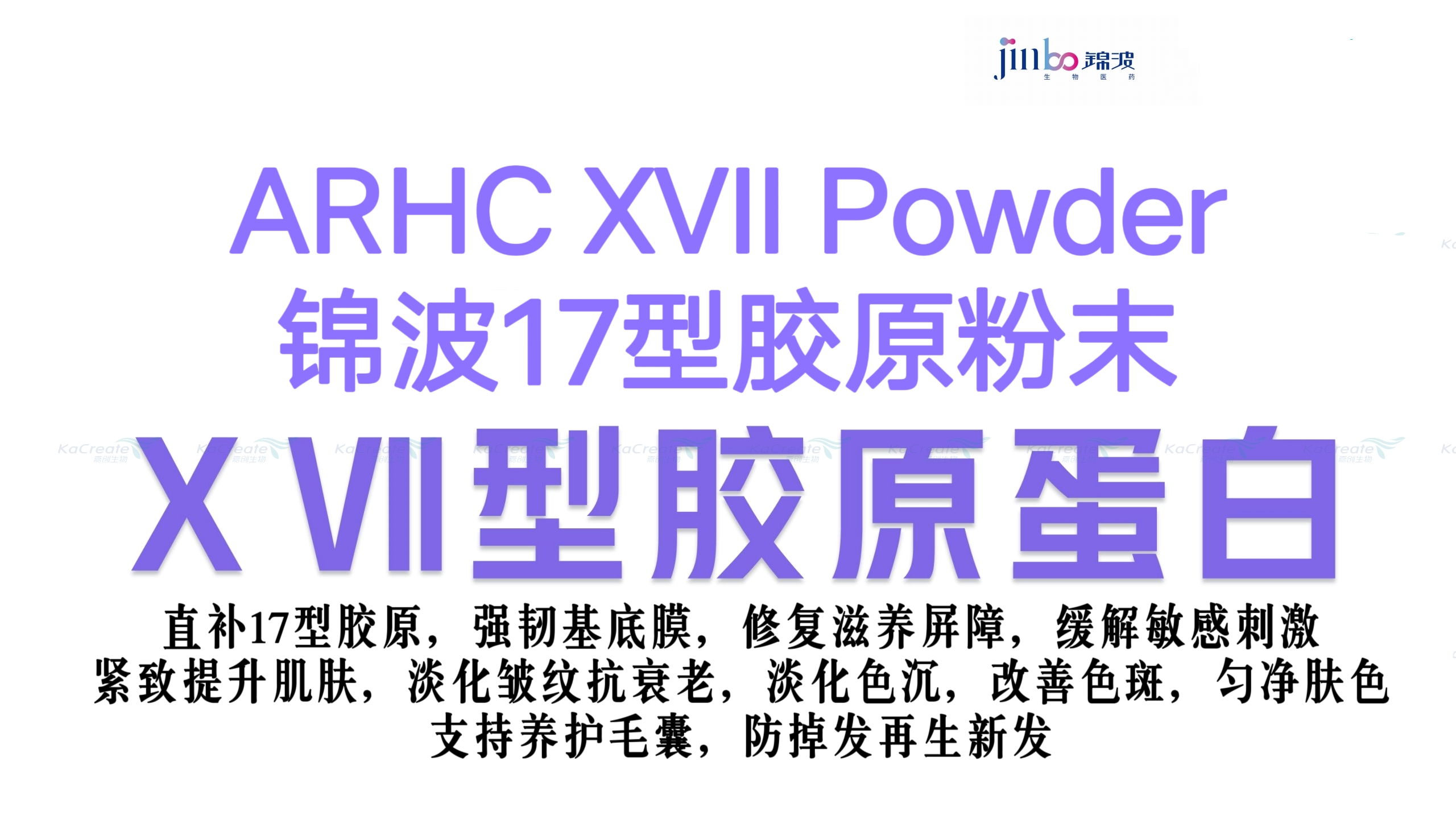 锦波 重组十七型胶原蛋白粉末原料 修复保湿亢衰紧致焕白防掉发17