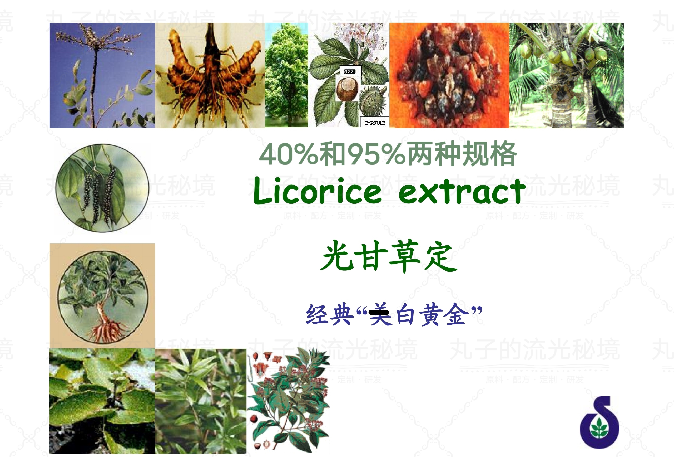 美国SABINSA光甘草定40% 95%醇溶 亮白K光损伤K氧Y焱K缞护肤原料
