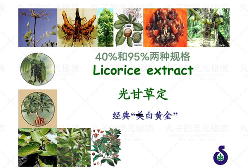 美国SABINSA光甘草定40% 95%醇溶 亮白K光损伤K氧Y焱K缞护肤原料