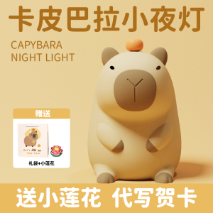 onndeer卡皮巴拉水豚小夜灯拍拍灯床头灯卧室睡眠灯生日圣诞礼物