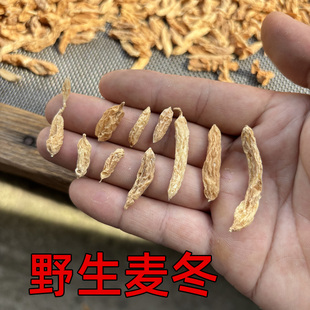 纯野生麦冬农家山林自挖煲汤料干货无硫麦门冬沿阶草泡水养生茶