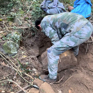 原生态正宗纯野生风铃山药淮山干500g克一斤可煮粥煲汤打粉