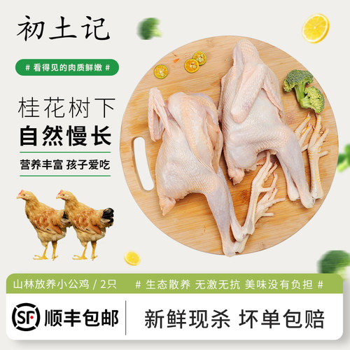 初土记小公鸡新鲜现杀顺丰包邮