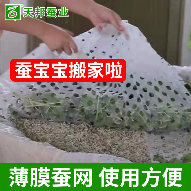 透明大蚕网薄膜养蚕神器除沙提青清理过滤乙烯工具小蚕宝宝防水