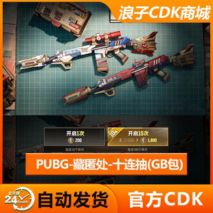 PUBG藏匿处十连抽绝地求生大炮黑货伪装原形-SLR皮肤(G币包)