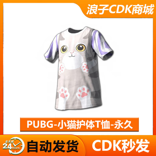 PUBG小猫护体皮肤兑换码CDK