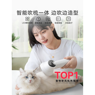 宠物吹风机猫咪狗狗专用拉毛一体机洗澡速干烘干吹毛梳洗澡吹水机