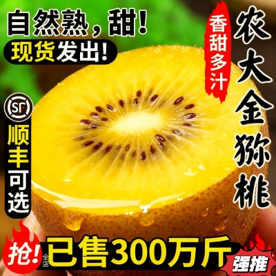 上海黄心猕猴桃奇异果新鲜水果当季孕妇超甜直采顺丰直发