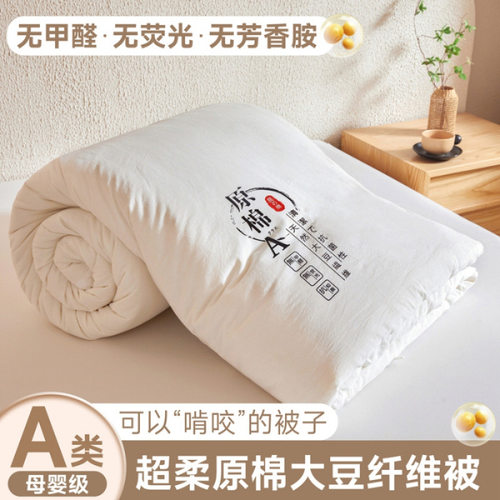 Maternity Grade Comforter Autumn Quilt Winter Warm Blanket
