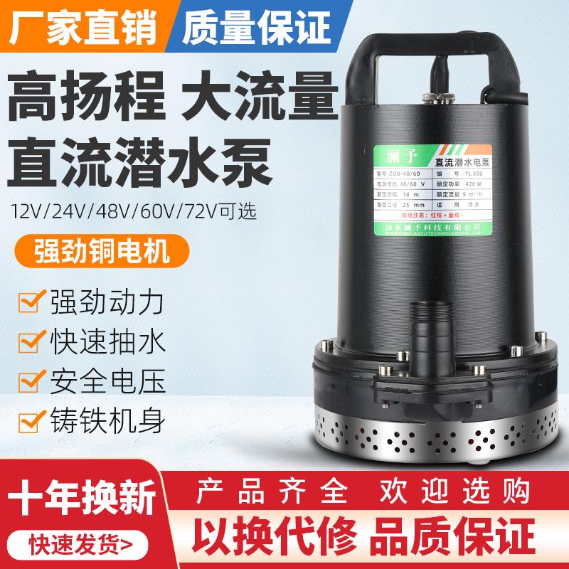 新款12V24V48V60V72V直流潜水泵电动车抽水泵电瓶车电车包邮