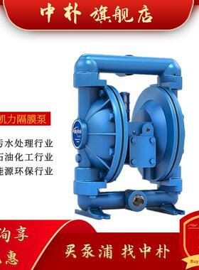 全新斯凯力1寸水泵SK25/3AAA/NEPN/OBO气动隔膜泵3XAA/ETTT污包邮