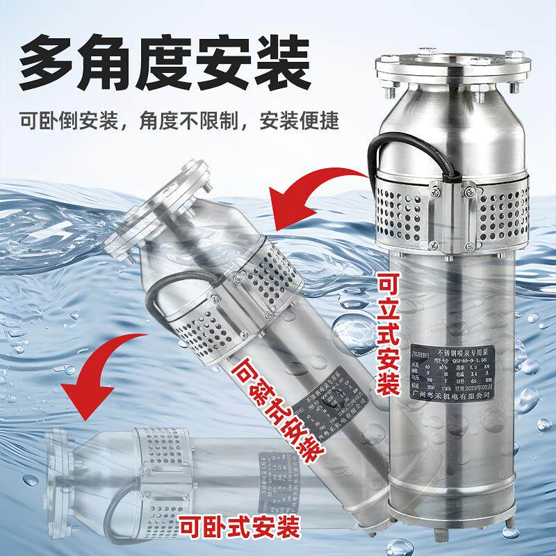 新款QSP喷泉专用泵大流量高扬程别墅景观园林灌溉油浸式包邮