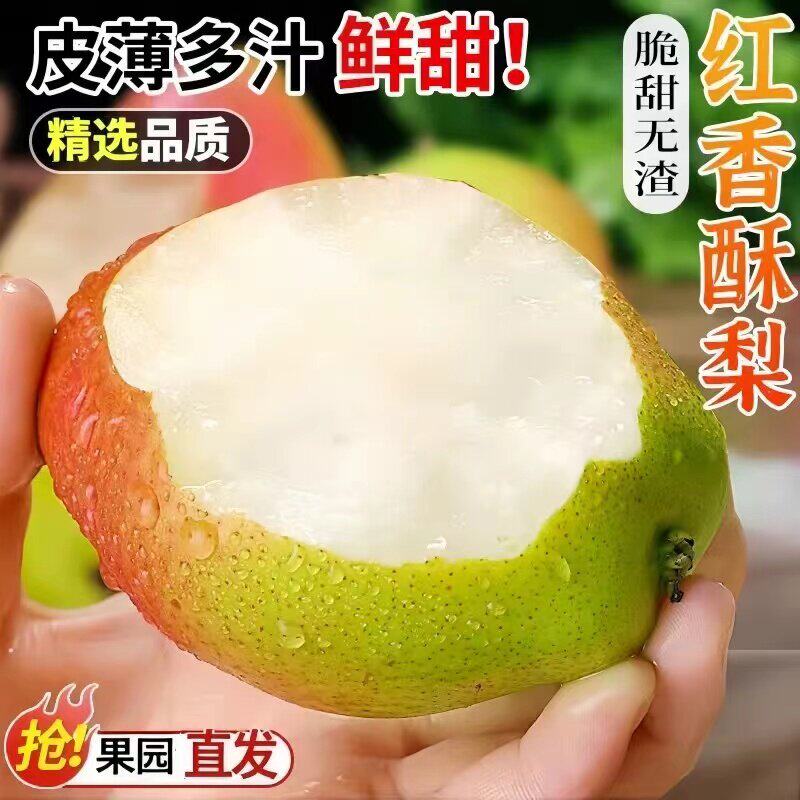 正宗红香酥梨当季现摘脆甜梨子酥梨香梨孕妇新鲜高山水果整箱包邮