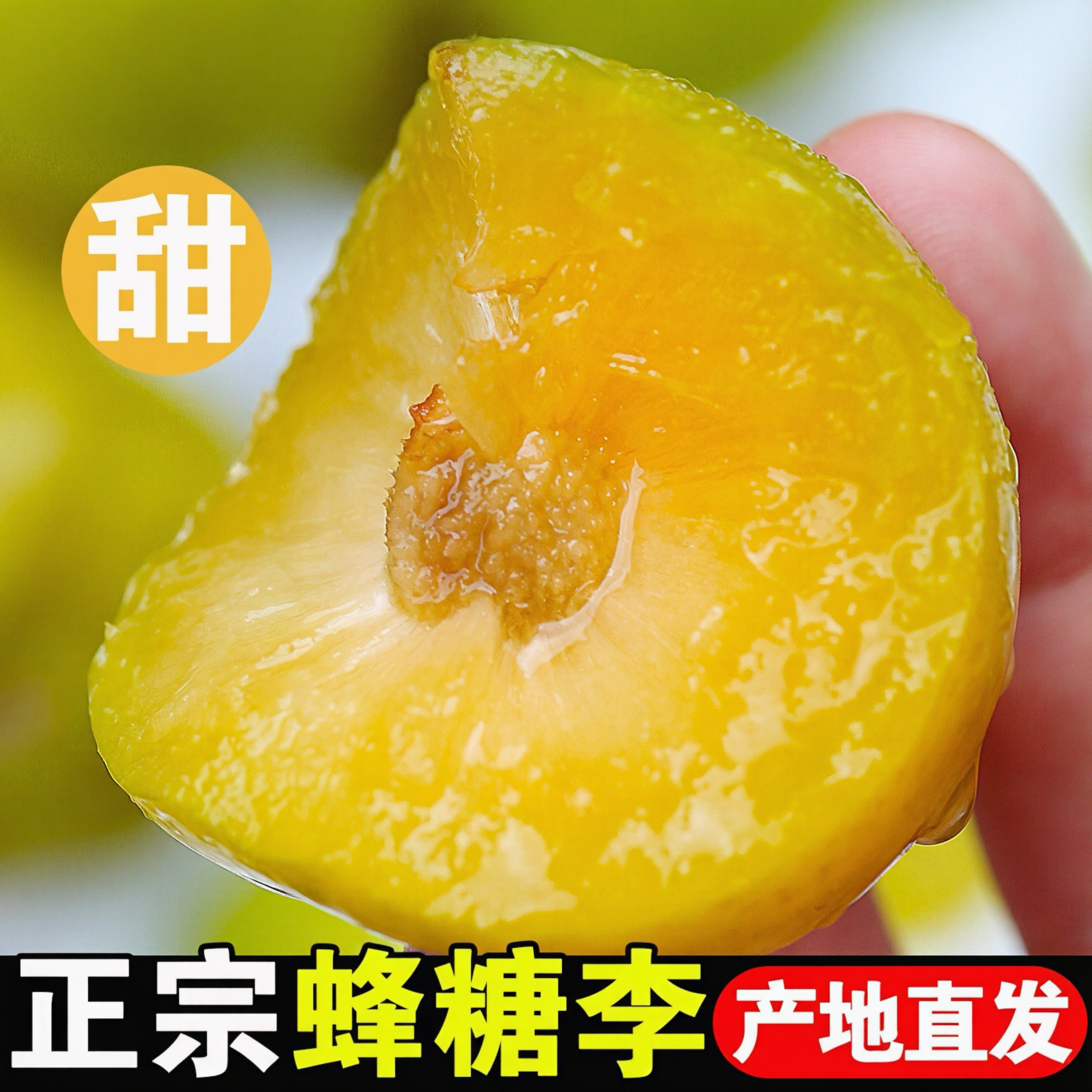 正宗新鲜贵州蜂糖李子青脆李子甜脱骨李当季孕妇水果整箱特产包邮