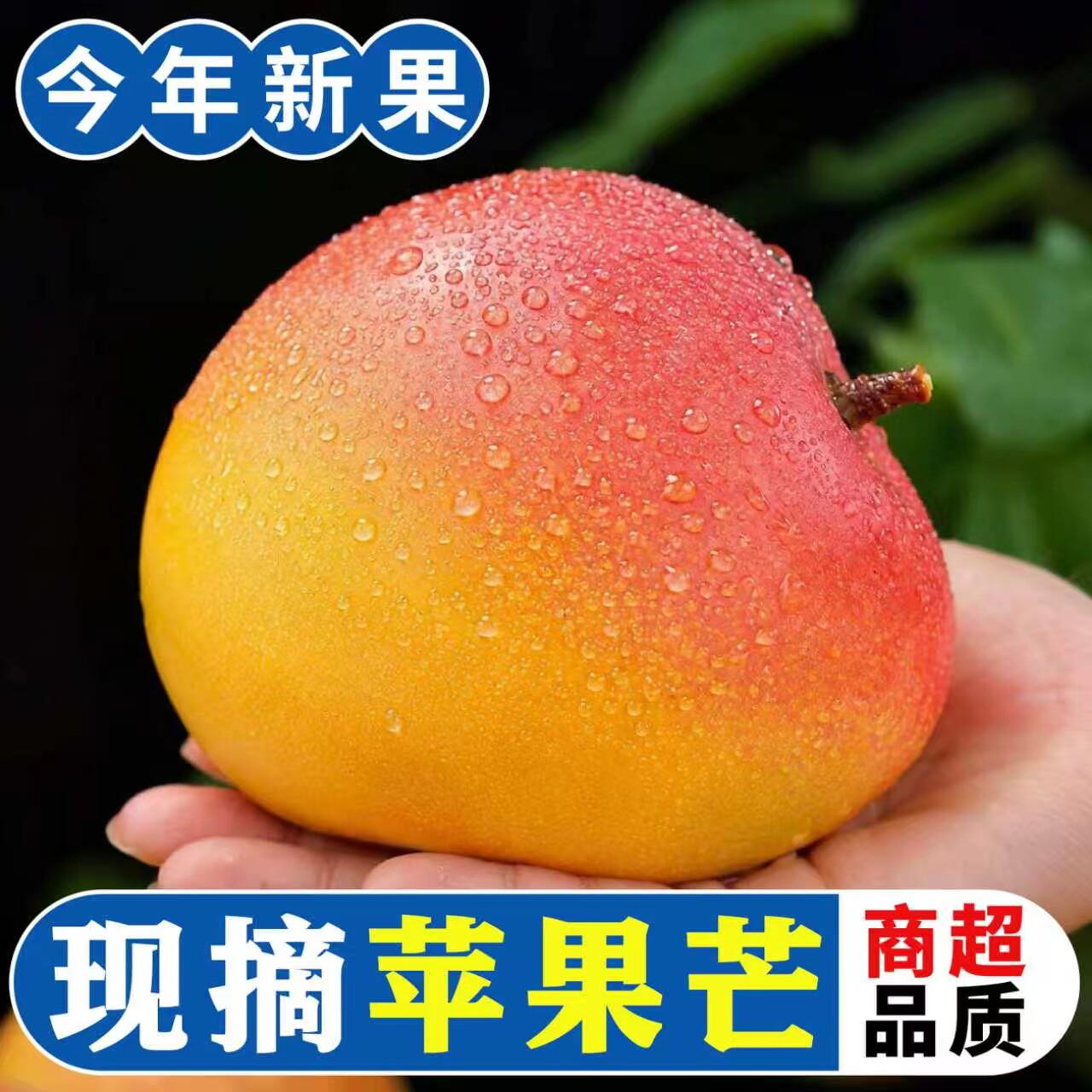 正宗云南澳芒现摘香甜芒果包邮