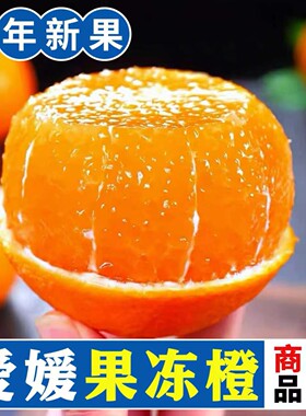 2026好吃的果冻橙、爱媛果冻橙