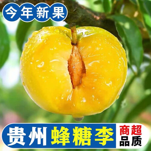 正宗新鲜贵州蜂糖李子青脆李子甜脱骨李当季孕妇水果整箱空运包邮