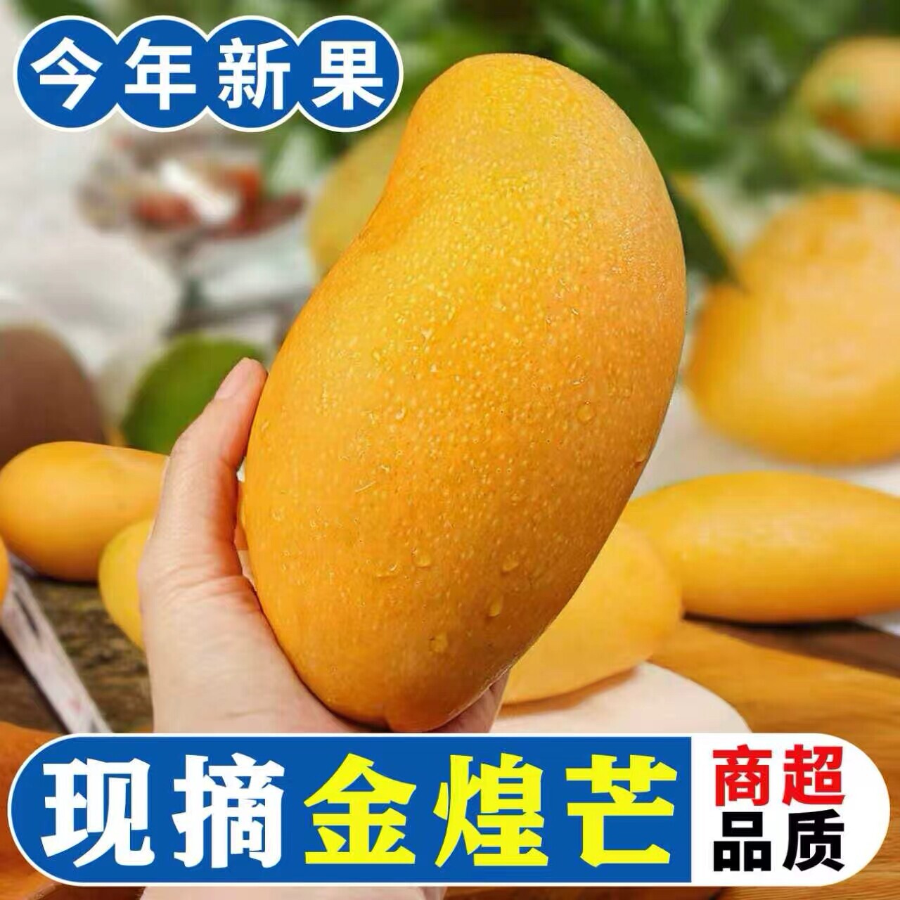 正宗当季新鲜金煌芒果整箱包邮