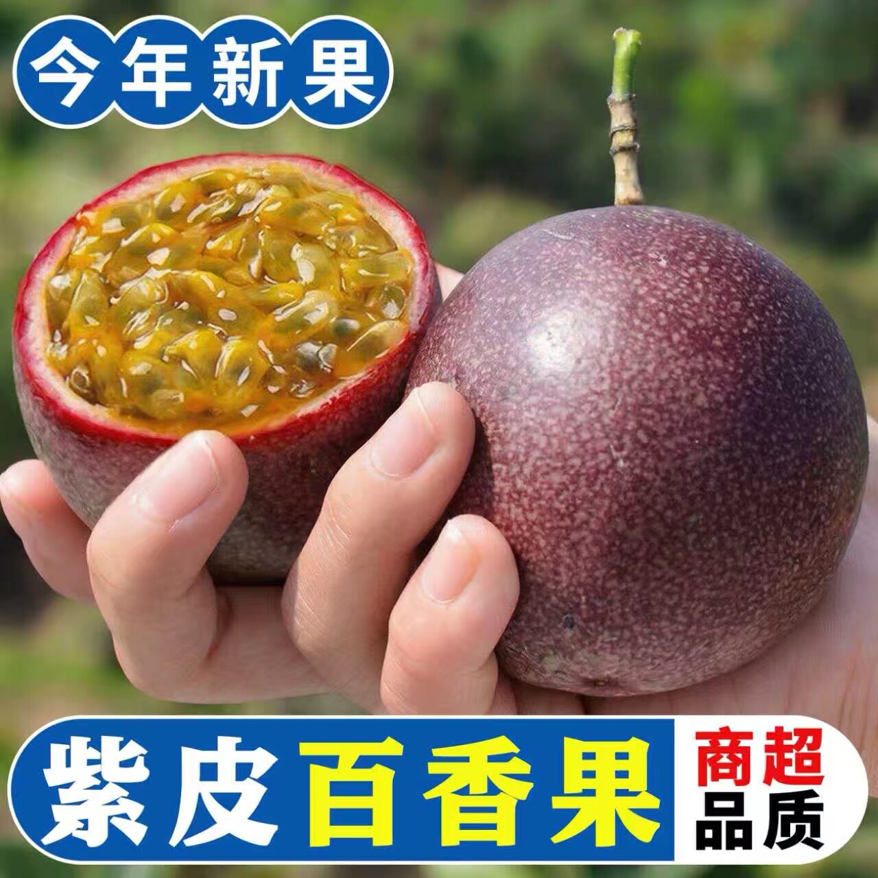 广西紫皮百香果大果新鲜水果包邮当应季紫皮果酱原浆柠檬汁新品种