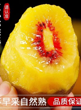 浦江红心猕猴桃新鲜应季水果整箱孕妇四川红心奇异果现摘顺丰包邮