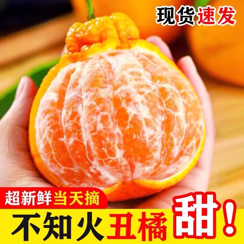 四川不知火丑橘孕妇水果新鲜应季整箱桔子柑橘耙耙蜜桔丑八怪包邮