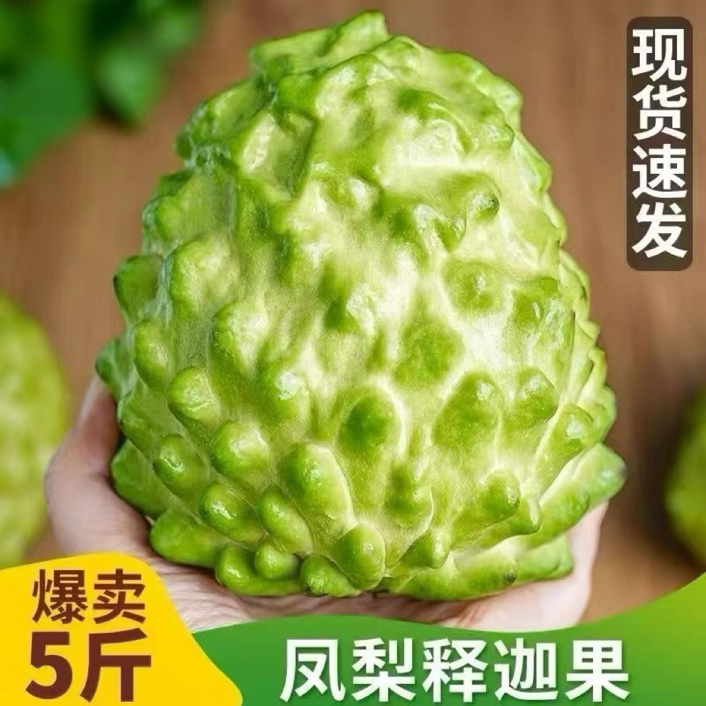 牛奶凤梨释迦果新鲜孕妇水果包邮