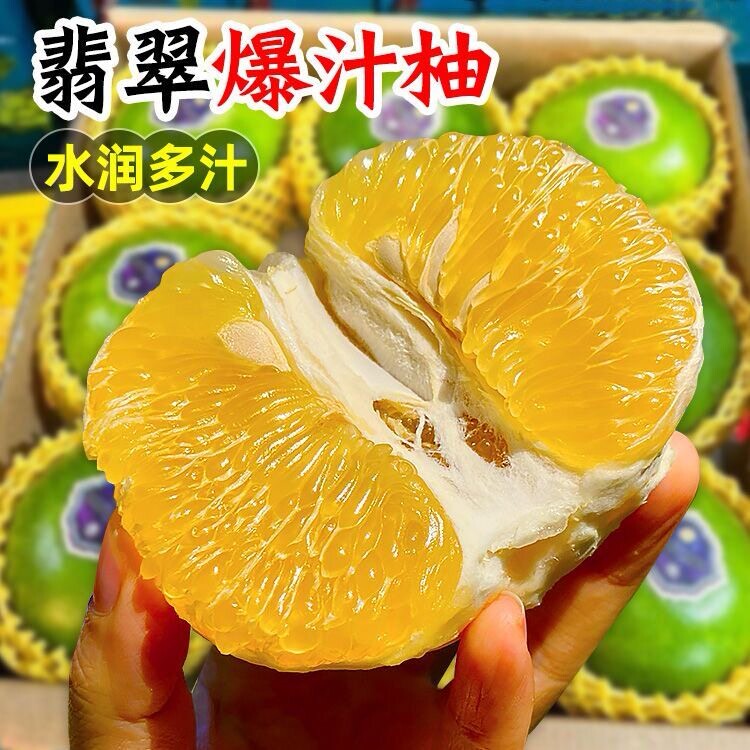正宗翡翠青皮白心葡萄柚现摘