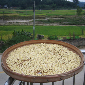 建宁农家去心莲子肉莲米 通芯建莲无漂白500g干货泰宁大金湖