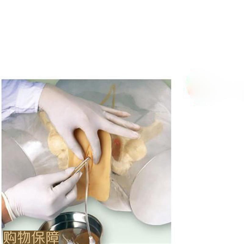 透明女性导尿模型|导尿器官模具