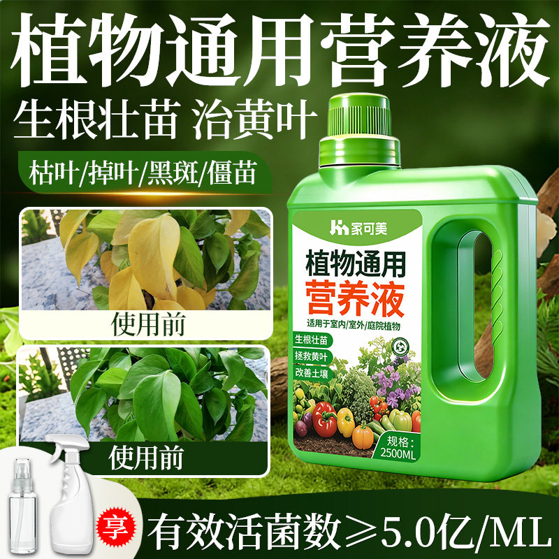 小分子有机植物营养液室内盆栽通用型花卉肥发财树植绿萝水培土壤