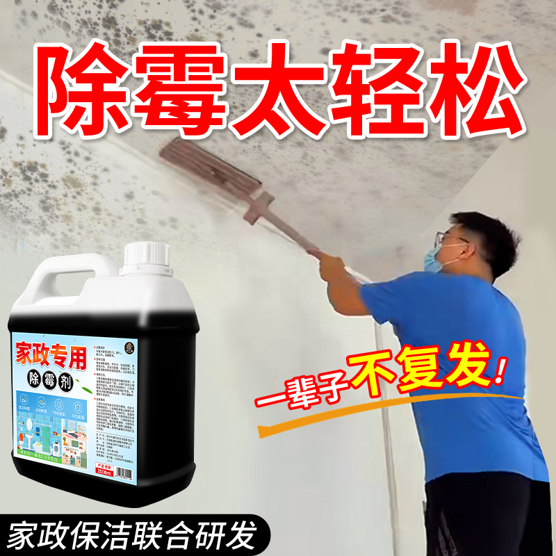 去霉斑霉味霉菌神器防霉清洁剂