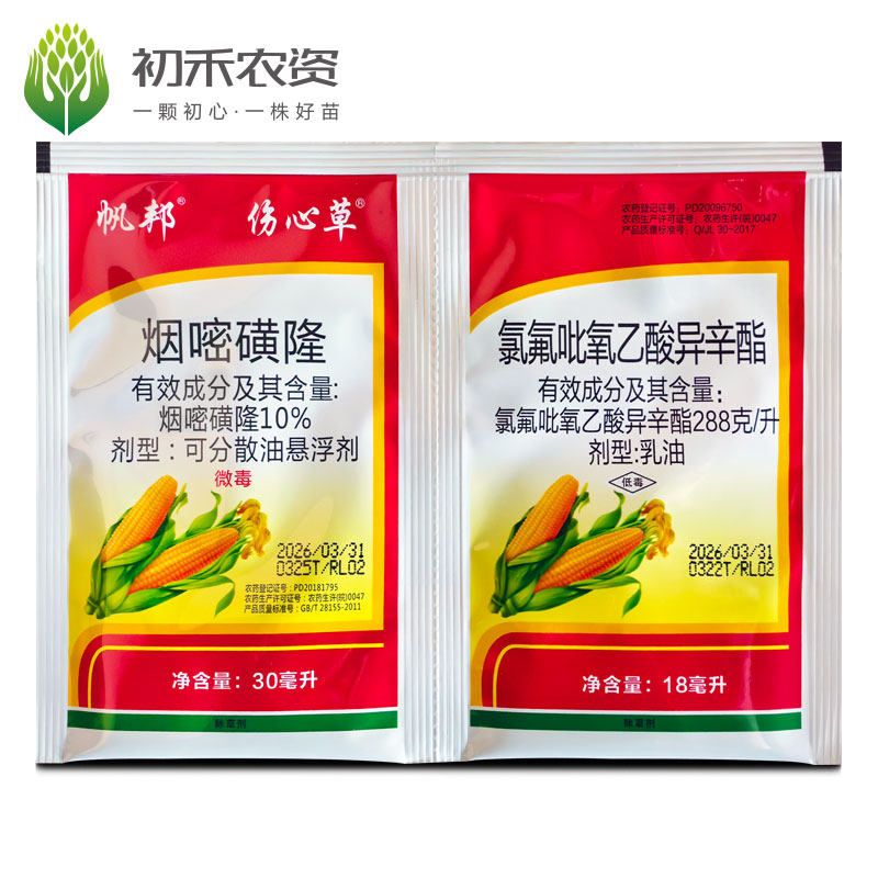 玉米地帆邦伤心草烟嘧磺隆氯氟吡氧乙酸玉米田一年生杂草除草剂
