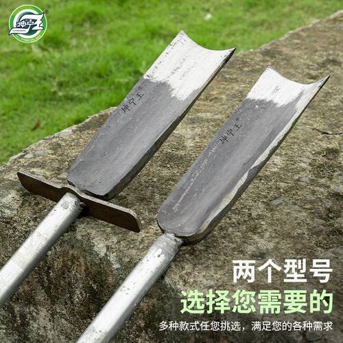 坤宁王挖树铲洛阳铲铁锹