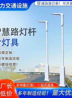 户外智慧路灯杆单双臂防水一体化led照明金属造型高亮防水灯杆