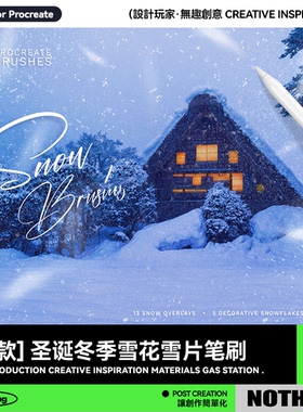 Procreate笔刷 新年圣诞节冬季雪花雪片描线纹理iPad手绘插画笔