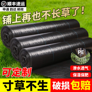 防草布除草布耐用地钉批发新型地布果树专用厂家直销农用打孔PE