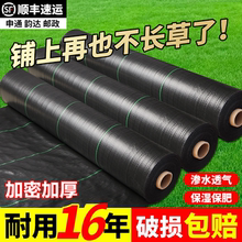防草布除草布耐用地钉批发新型地布果树专用厂家直销庭院农用打孔