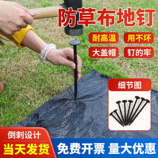防草布塑料地钉除草布果园农用耐用地布地膜园艺抗老化透气抑草布