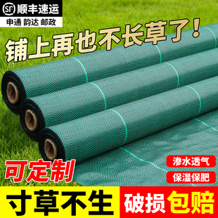 绿色防草布除草布耐用地钉批发新型地布果树专用厂家直销庭院农用