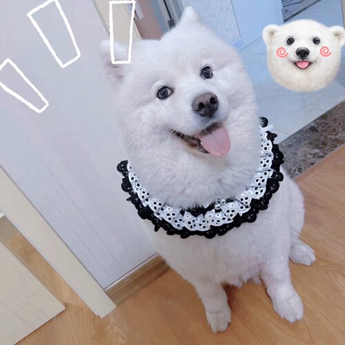 可爱围嘴领子宠物狗狗泰迪猫咪