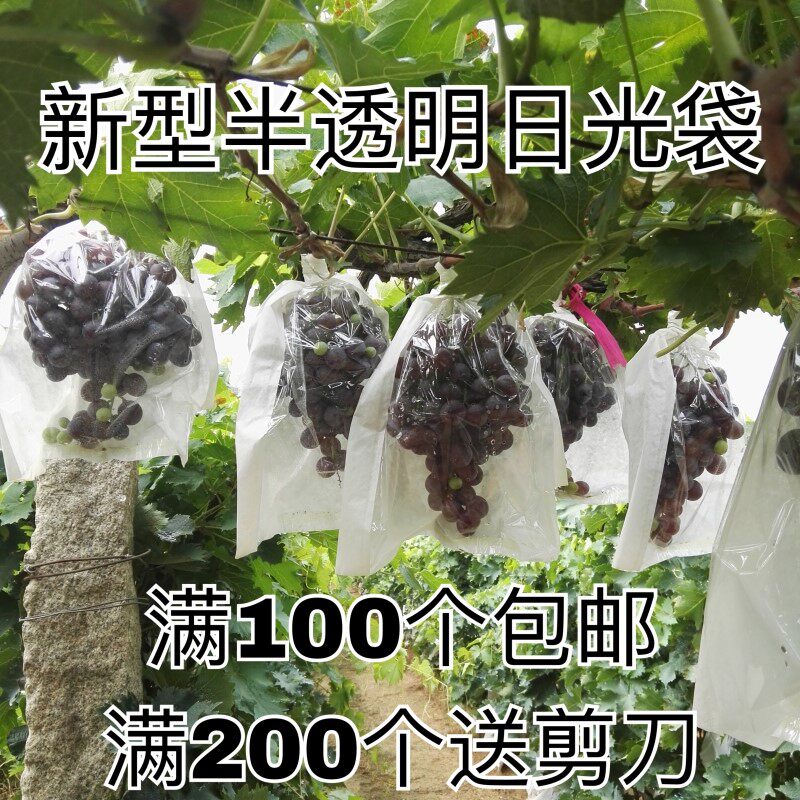 葡萄套袋专用袋半透明莲雾保护防虫雨防鸟包装果袋纸袋子果树水果|ruв категории доставка цветов/цветок моделирования/растения садоводства, садовых принадлежностей, других садовых принадлежностей - от Buy2taobao.com для оказания профессиональной услуги покупки агента Taobao