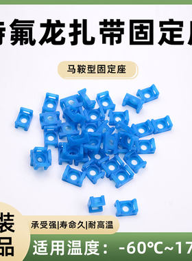 泛达170度特氟龙进口扎带固定座