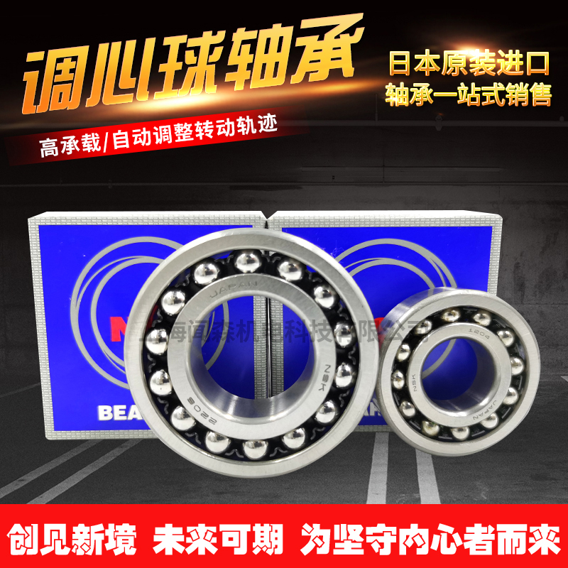 日本进口NSK速调心球轴承1207 1208 1209 1210 1211 1212 1213K