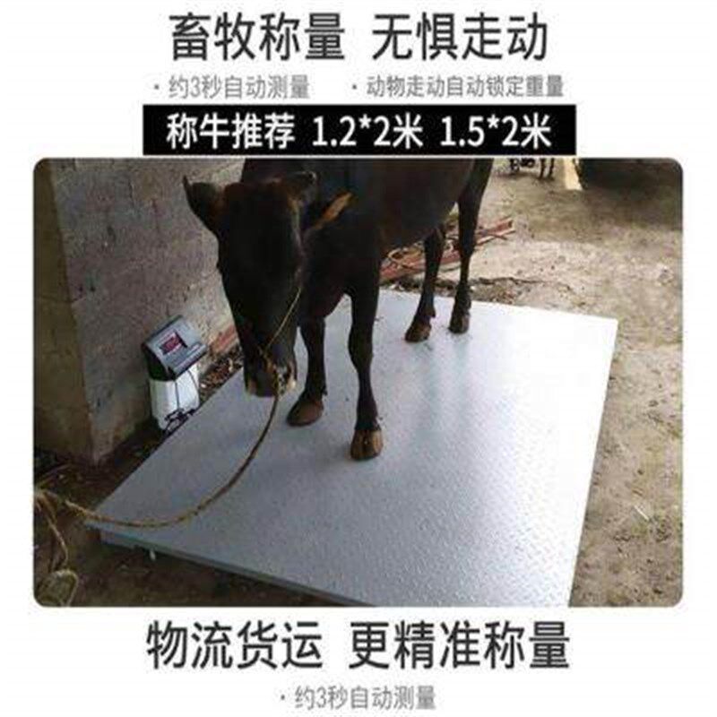 厂促电子地磅1-3吨磅秤高型精度地称重称猪牛秤1-2吨地小榜称新品