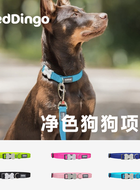 zeex澳洲瑞鼎狗项圈可调节尼龙牵引绳Reddingo小中大型犬金毛脖圈
