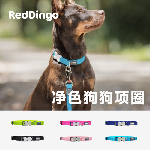 澳洲瑞鼎狗项圈小中大型犬可调节