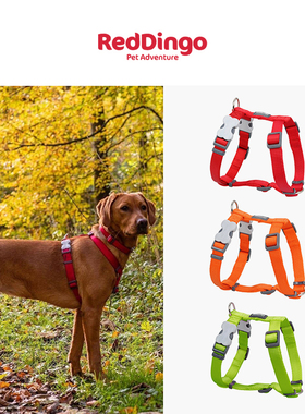 zeex澳洲瑞鼎狗胸背 尼龙Reddingo牵引绳 小中大型犬金毛柯基法斗