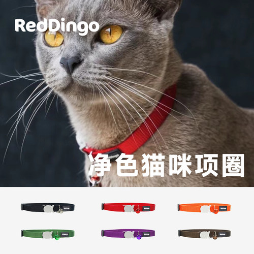 澳洲瑞鼎猫项圈铃铛reddingo美短