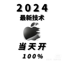 适用于苹果iphoneXs 12 13 14 15ProMax远程手机刷机官解隐藏平板