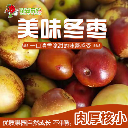 正宗陕西大荔冬枣新鲜大枣脆甜爽口甜枣当季脆枣时令水果